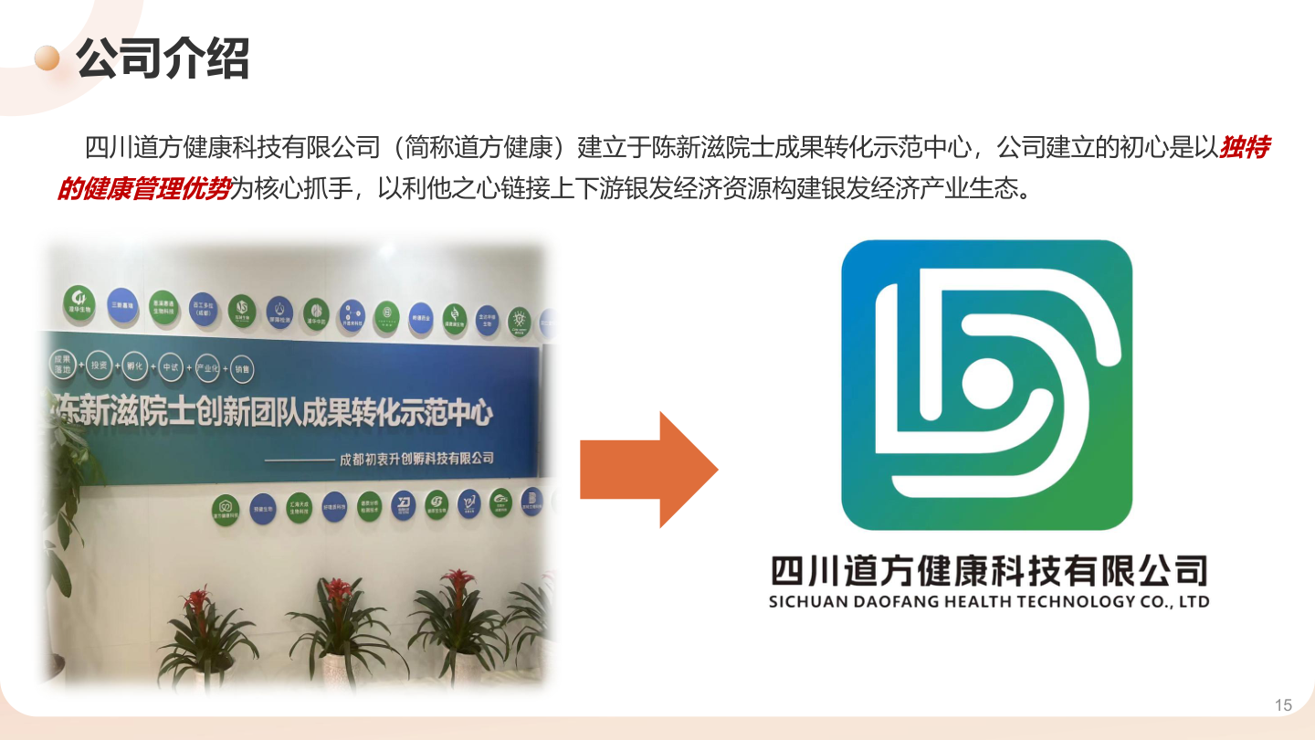 公司介绍